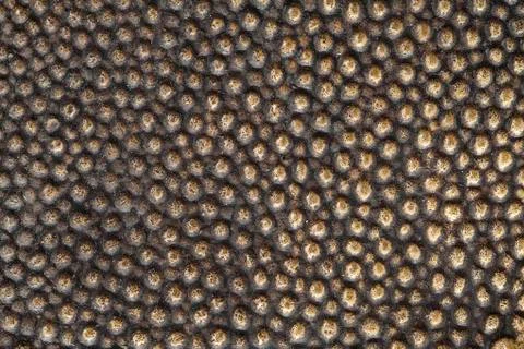 Bronze texture Stock Photos