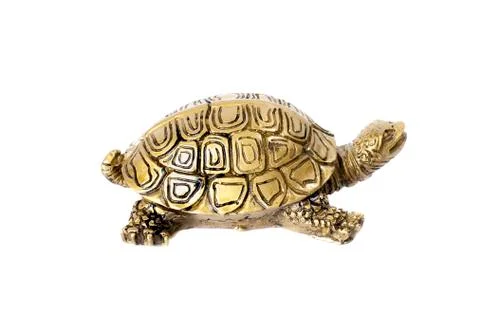 Bronze turtle isolated on white background. Stock Photos