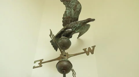 Bronze Windvane Video stock 40813224