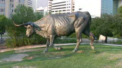 Bronzed Longhorn Video stock 10586629
