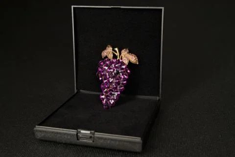 Brooch in a gift box Stock Photos