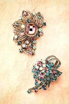 Brooch 스톡 사진