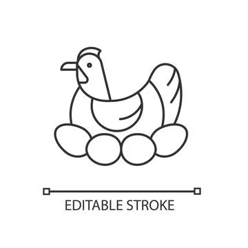 Brood hen linear icon イラスト素材