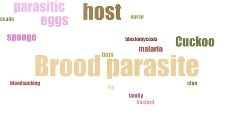 Brood Parasite Tagcloud Animated Isolated On White Stock Footage 103092820