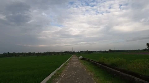 Brooding Clouds Over Traditional Indonesian Rice Fields Stock Footage 322177708