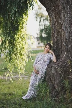 Brooding girl at the trunk of a weeping willow 1741. Stock Photos