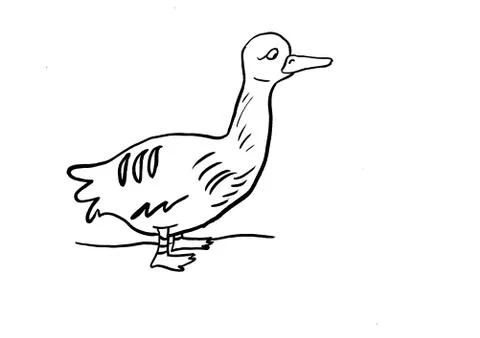 Brooding goose Stock Illustration