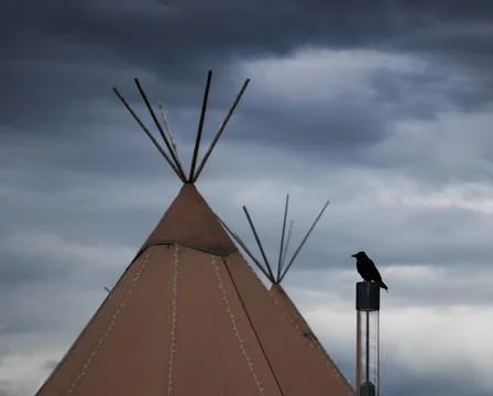 Brooding silhouetted crow looking at a pair or tepees Stock Photos
