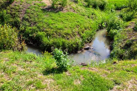 Brook and grass Stock Photos
