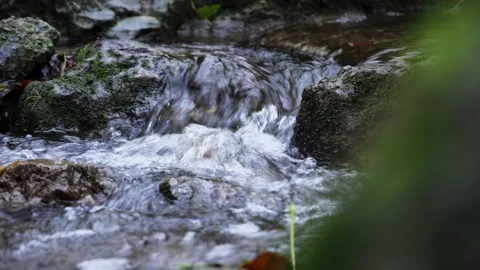 Brook and rocks in the forest 動画素材 165241944