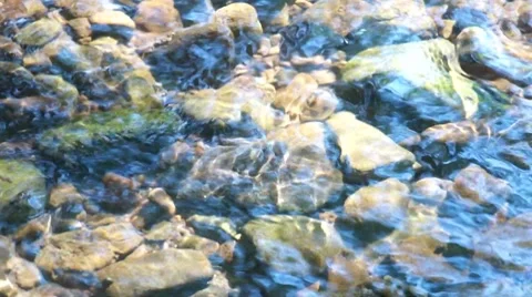 Brook Bed Stock Footage 7903465