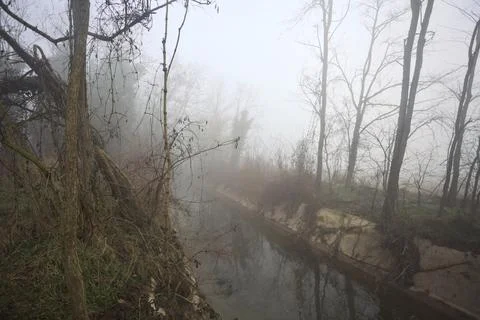 Brook bordered by bare tree Stock Photos
