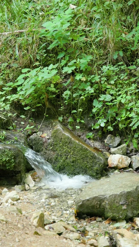 A brook cascades over rocks in a forest in vertical Stock Footage 284668525