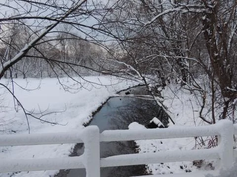 Brook at Cedarbrook Stock Photos