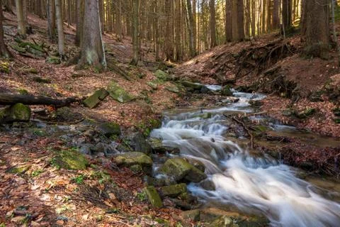 Brook during snow melting in spring and tusk fallen leaves from autumn, Czech Stock Photos