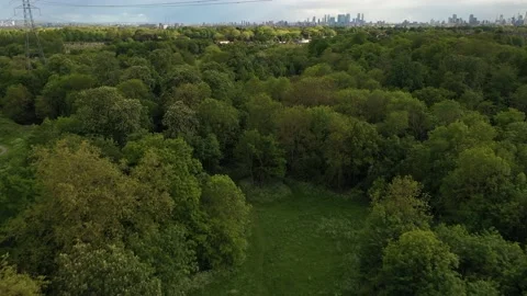 Brook flowing around trees in park, piece of nature in city Stock Footage 155816150