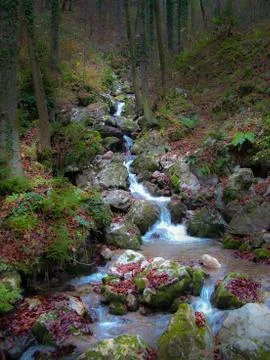 Brook flowing calmly down Stock Photos