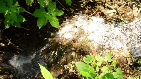 Brook flowing down a small hill or rapids in summer Stock Footage 88220656