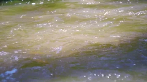 Brook flowing in the forest Stock Footage 239184797