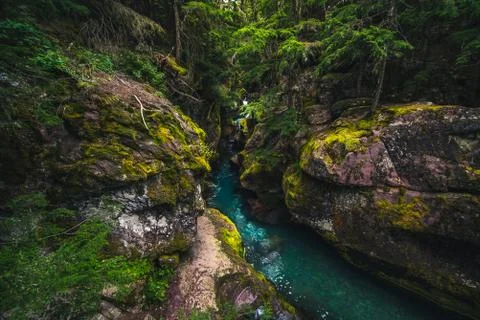 A brook flowing through moss covered boulders. Foto stock