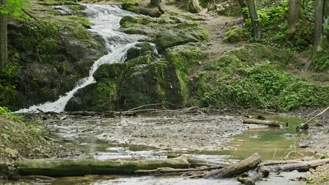 A brook flows down as a waterfall Stock Footage 289019129