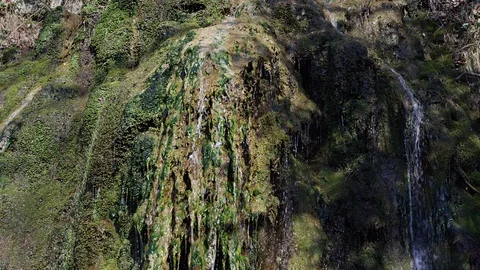 A brook flows over stones covered with succulent moss illuminated by the sun Vídeo Stock 105589754
