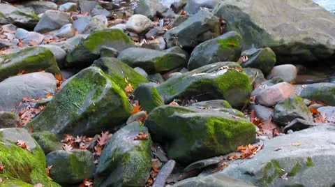 Brook Stock Footage 8951197