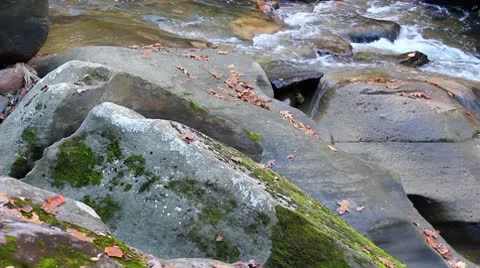 Brook Stock Footage 8951592