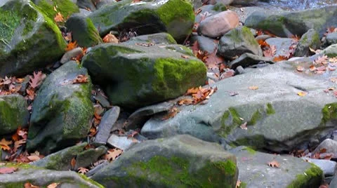 Brook Stock Footage 8951615