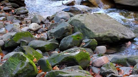 Brook Stock Footage 8951654