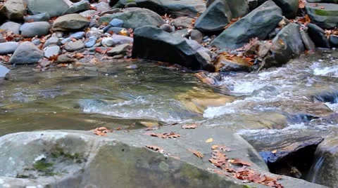 Brook Stock Footage 8951684