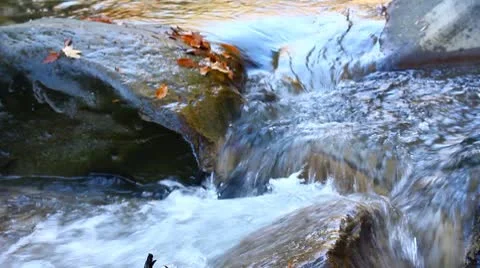 Brook Stock Footage 8951711