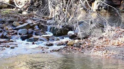 Brook Stock Footage 8951733