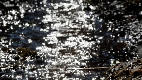 Brook Stock Footage 105697308