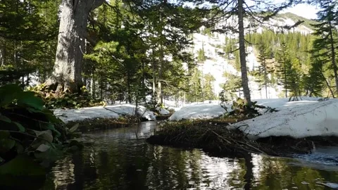 Brook Vídeos de archivo 131819532