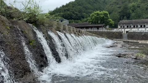 Brook Stock-Footage 313853734