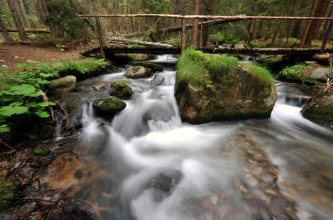 Brook in the forest Stock Photos