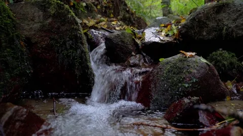 Brook of fresh water flowing through forest 4k Stock Footage