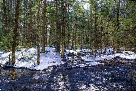 A brook making its way into  a stream in a snow covered forest Stock Photos