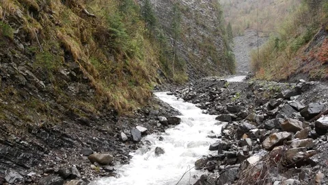 Brook in the mountains during the rain. Stock Footage 77228056