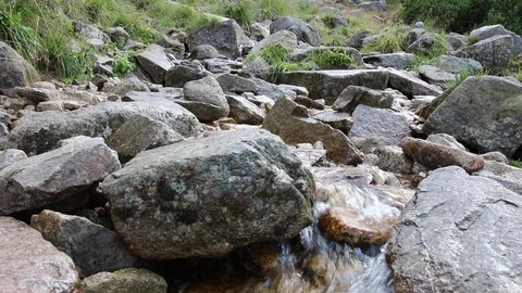 Brook in the mountains Stock Footage 96176728