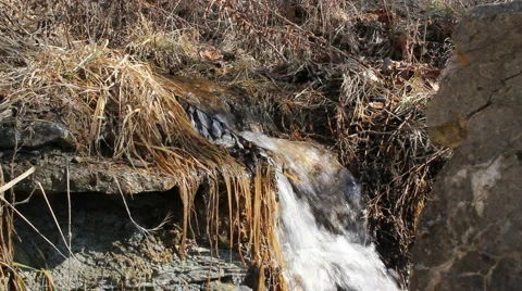 Brook in nature Video stock 1121064