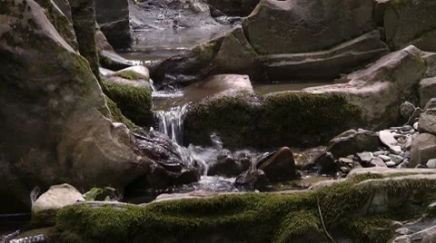 Brook in the North Caucasus mountains Stock Footage 7759603