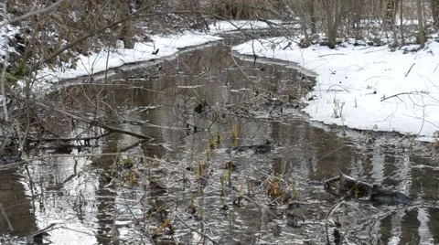 Brook or small river flowing through beautiful snowy landscape Stock Footage 46351610