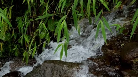 Brook river flow with green grass around Video stock 297805124