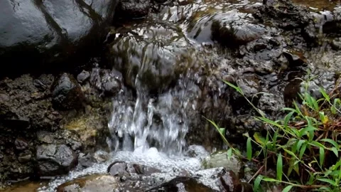 Brook river flow with green grass around Stock Footage 297805386