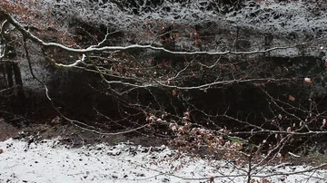 Brook running through forest, snow falling Stock Footage 85722235