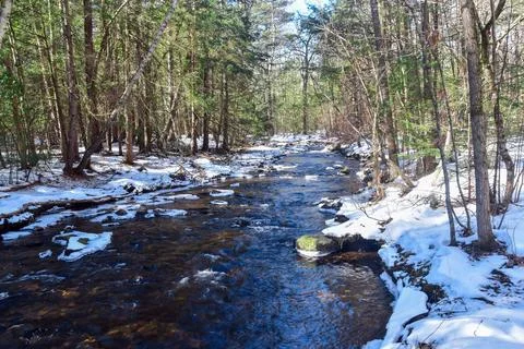A brook running through willard brook state forest, Stock Photos