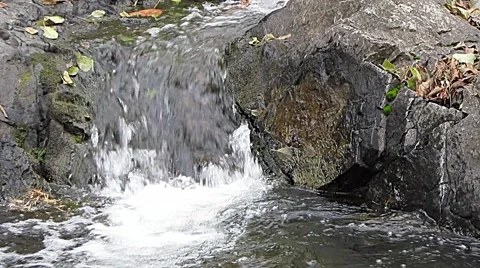 Brook rushing water into a small pool Stock Footage 43967842