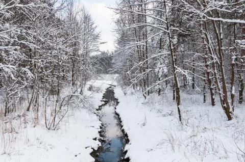 Brook in snowy forest Stock Photos